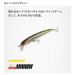 2025年最新】インスパイアミノーの人気アイテム - メルカリ