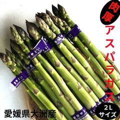 【愛媛県大洲産】アスパラガス　２LーLサイズ　1kg