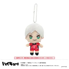 2026年最新】灰羽リエーフ ぬいの人気アイテム - メルカリ