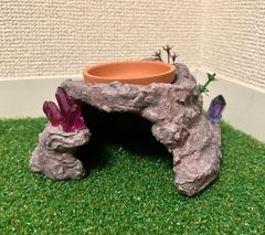 爬虫類　ウェットシェルター　2点