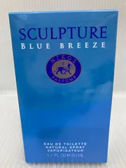 2025年最新】ブルーブリーズ スカルプチャーの人気アイテム - メルカリ