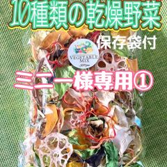 【ミニー様専用①】10種類の乾燥野菜150g
