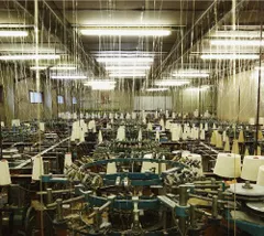 toe - For Long Tomorrow　アナログレコード　新品未開封 2025年最新】toe for long tomorrowの人気アイテム - メルカリ