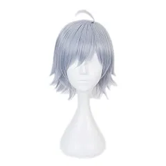 【特価商品】アニメ 仮装 クリスマス ハロウィン 風 wig Wonderland Twisted 耐熱ウィッグ ウィッグ Silver シルバー 変装用【専用ネット付き】 コスプレ ツイステッドワンダーランド