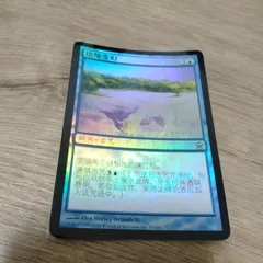 MTG 強欲 foil 中国語 MTG 強欲 foil 中国語