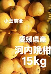 愛媛県産　小玉　宇和ゴールド　河内晩柑　柑橘　15kg