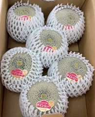 クインシーメロン　秀品　甘い蜜蜂交配　レッドメロン　赤肉メロン　メロン