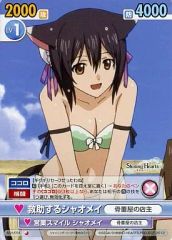 超希少・未開封】ヴィクトリースパーク シャイニング・アーク 初版