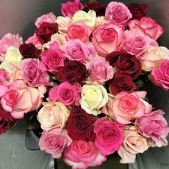 ２番 大輪 バラ B級品４５センチ４０本切り花生花