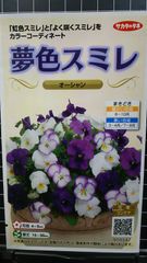 夢色 スミレ オーシャン パンジー 種 郵便 ３袋セット
