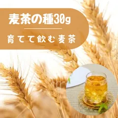 2025年最新】六条大麦 種の人気アイテム - メルカリ