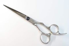 Item thumbnail for item c80eab2d-2cd4-4324-8a9e-d19a7886ac53