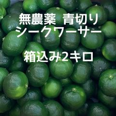 無農薬シークワーサー 家庭用 箱込み2キロ