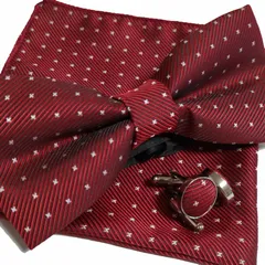 蝶ネクタイ チーフ カフス セット ワインレッド ドット 結婚式 パーティー
