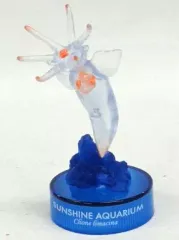 2025年最新】サンシャイン水族館フィギュアコレクションの人気