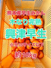 熊本産早生みかん(肥のあすか)3Sサイズ10kg - メルカリ