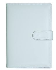 Item thumbnail for item ee59e1e0-ebfb-448c-999d-577a017cea53