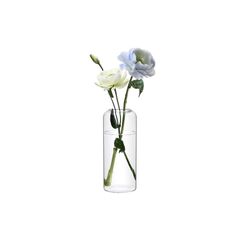 ComSaf 花瓶 ガラス 一輪挿し 透明 おしゃれ 北欧 花器 リビング 寝室 オフィス 用 インテリア 水栽培 花器 活け花 造花用