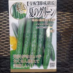 未開封＜野菜の種＞節成きゅうり　夏のグリーン　1ｍｌ　胡瓜