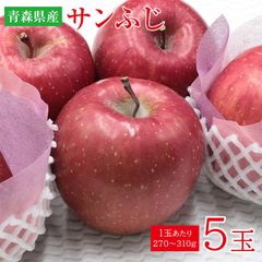 【12月初旬から順次ご発送予定】送料無料 安心の自社検品 自社梱包 ちょっと傷アリ 訳アリ 贈答用青森県 青森 サンふじ ふじりんご 5玉 1玉270ｇ~310ｇ
