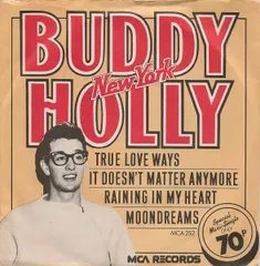 2025年最新】BUDDY holly レコードの人気アイテム - メルカリ