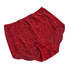 Karly Shop レースショーツ レディース 深履き すっぽり 透ける 花柄 ストレッチ 大きいサイズ エレガント 上品  s614