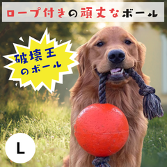 [Lsize] 犬用 ボール 丈夫 紐付き 大きめ パンクしない 壊れない Jolly Pets ジョリーペット Romp-n-Roll ロンプンロール ジョリーボール ロープ おもちゃ ジョリーペット 投げるおもちゃ 噛むおもちゃ 弾む