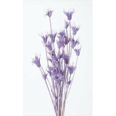 Item thumbnail for item 794e2401-4220-4861-8324-8adfbc81305c