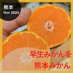 2024年最新】興津早生の人気アイテム - メルカリ