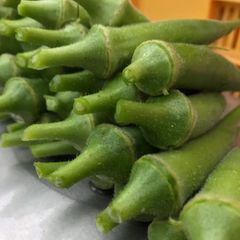 新鮮　オクラ　60本前後     10/10まで