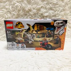 クロナ出品 2025年最新】76945の人気アイテム - メルカリ