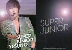 SUPER JUNIOR スターコレクションカード　コンプリートセット SUPER JUNIOR スターコレクションカード コンプリートセット
