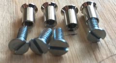 シェビー トラック 窓ガラス ネジ ボルト セット 1939 1940 1941 1942 1946 シボレー GMC サバーバン ピックアップ キャノピー J2742