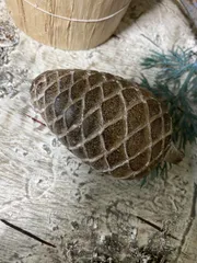 マツカサのオブジェ