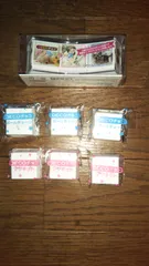 デコチョコマグネット デコチョコボールチェーン パノラマケース