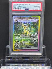 PSA10（ブイズ）
