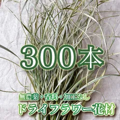 2024年最新】奄美大島産、の人気アイテム - メルカリ