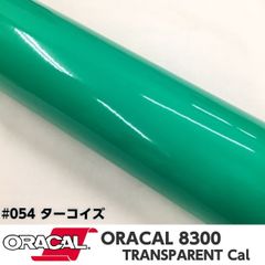 ORACAL8300 約21cm×30cm A4サイズ　ターコイズ