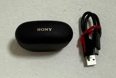 [ジャンク品] WF-1000XM5 ブラック ジャンク SONY WF-1000XM5 イヤホン左 ブラック｜Yahoo!フリマ