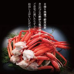 浜茹紅ズワイガニ（肩）5肩【冷蔵】約1.4~1.5kg  ちらし寿司 カニ身丼