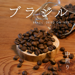 ブラジル ドライオンツリー　中煎り　100g