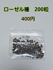 ローゼル種  200粒  400円