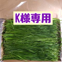 K様 定期便 生牧草
