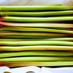 クール便　栽培発祥の地　ルバーブ　2kg  農薬不使用