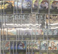 ＭTG　不毛の大地　英語　Foil 　EPX　エクスペディション MTG 不毛の大地 英語 Foil EPX エクスペディション Foil