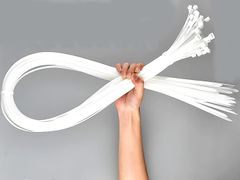 Item thumbnail for item 0c88303b-8255-414a-bfce-9282a02951cc