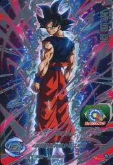 2025年最新】スーパードラゴンボールヒーローズ 孫悟空 pの人気