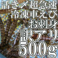 【訳アリ】お刺身で食べられる！活き〆超急速冷凍車えび500g ギフト お歳暮 山口県産 車海老 お徳用