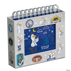 나카바야시 아나운서와 눈의 여왕 2 프레임 케이스 앨범 L판 1단 B 무늬 A-FTPC-205-2 (1점)