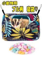 Item thumbnail for item 28df19d8-4a8f-4f01-82d4-db58e5376e2e